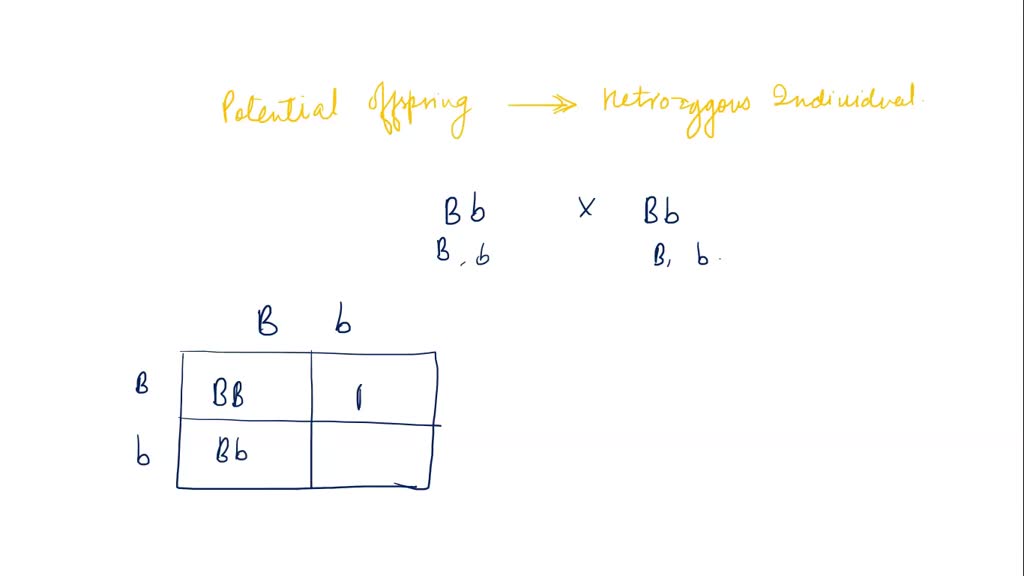 solved-calcium-ions-are-usually-at-a-higher-concentration-outside-of