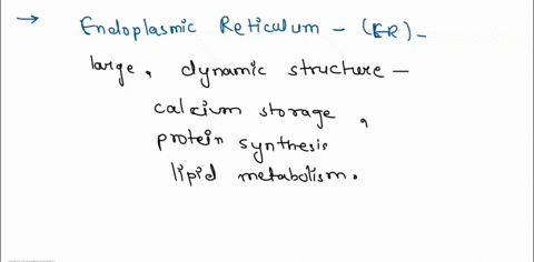 question-22-22-which-of-the-following-statements-about-the-endoplasmic-reticulum-er-is-false-steroid-hormones-are-synthesized-on-the-stnooth-er-the-er-is-the-major-site-for-new-membrae-synth-44018
