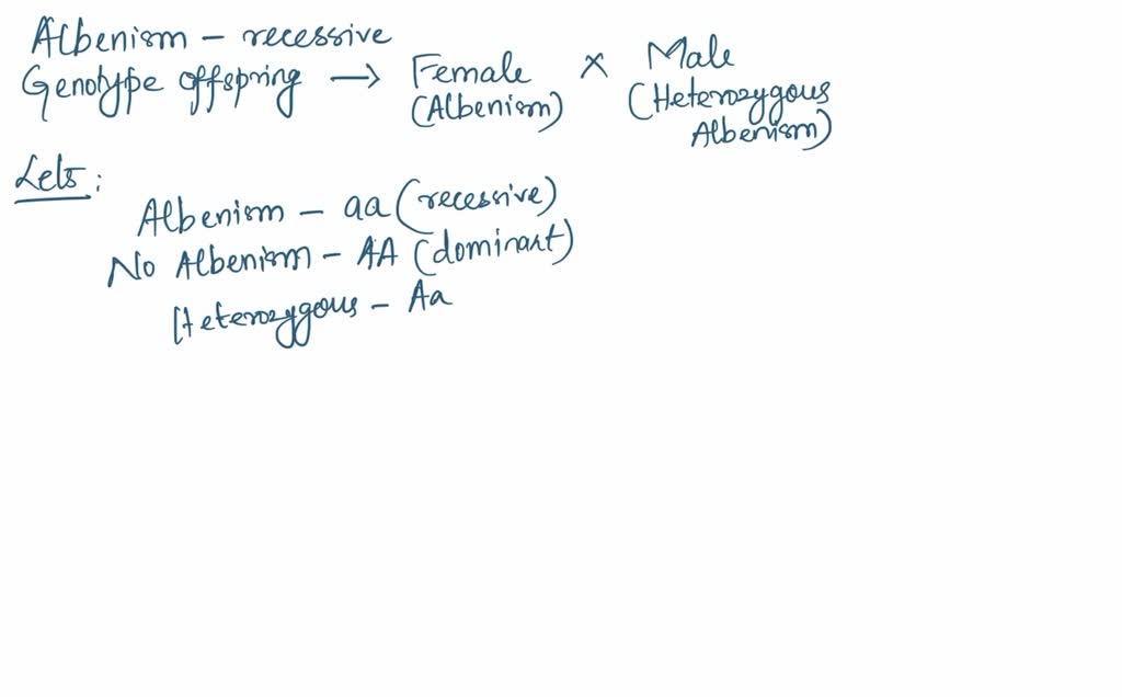 SOLVED Albinism is an autosomal recessive condition. Which circle graph above shows the