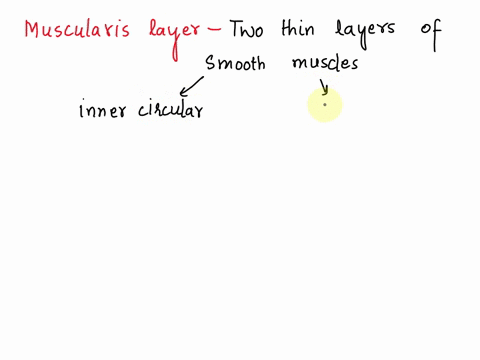 which-of-the-following-are-roles-of-the-muscularis-layer-of-the-gastrointestinal-tract-production-of-zymogens-ingestion-absorption-mixing-secretion-peristalsis-21677
