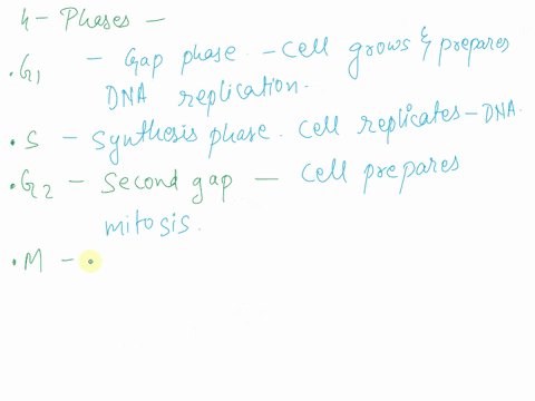 question241point-the-first-gap-in-the-cell-cycle-g1corresponds-to-oa-normal-growth-and-cell-functlon-bthe-phase-in-which-dna-is-being-replicated-c-the-beginning-of-mitosis-dthe-phase-between-32773