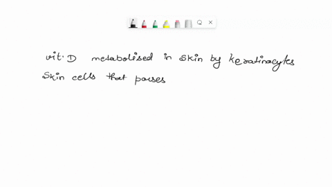 question-39-vitamin-d-is-needed-by-the-body-to-form-keratin-absorb-calcium-from-food-help-the-skin-tan-make-blood-cells-50121
