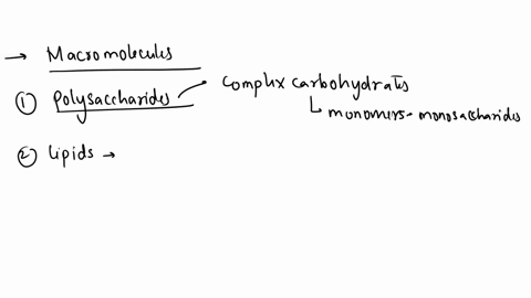 match-the-monomers-with-their-proper-polymeric-counterparts-amino-acid-protein-monosaccharide-b-dnavrna-nucleic-acid-c-lipid-fatty-acidglycerol-d-polysaccharide-96847