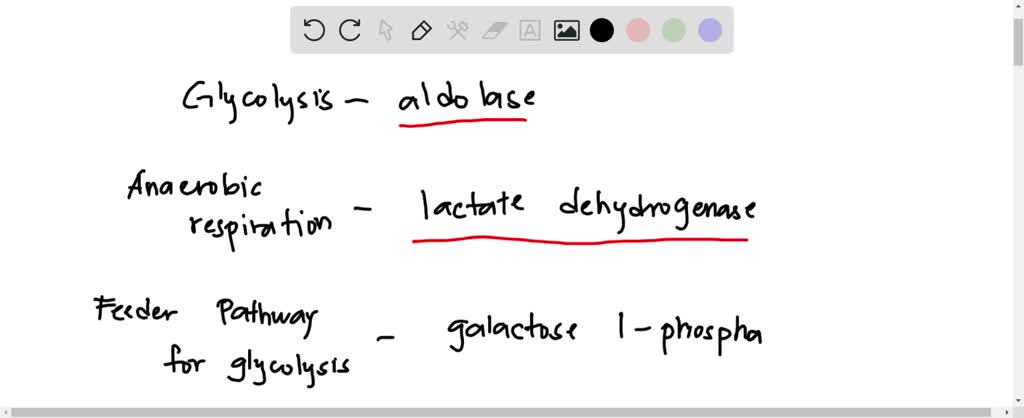 SOLVED: Texts: Match each enzyme of glycolysis with its description