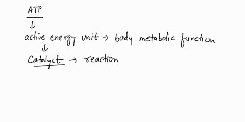 explain-how-atp-is-produced-using-the-terms-proton-motive-force-concentration-gradient-atp-synthase-high-energy-electron-carriers-and-elctron-transport-chain-95478