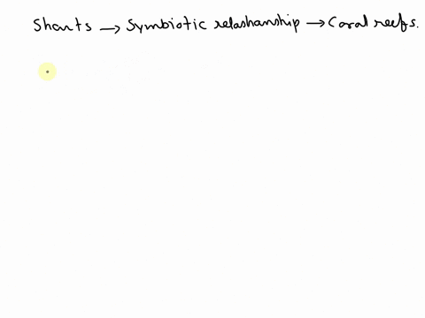 what-symbiotic-relationship-do-sharks-and-coral-reef-have-43887
