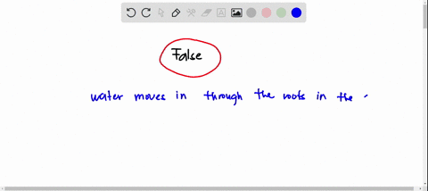 plants-move-water-in-from-the-air-ad-move-water-out-through-the-soil-true-false-32381