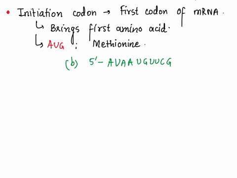 shown-below-are-partial-trna-sequences-with-anticodons-underlined-which-of-these-is-trna-1-bringing-the-first-amino-acid-to-the-ribosome-during-translation-initiation-5-a-u-a-u-g-a-g-u-u-c-g-73506