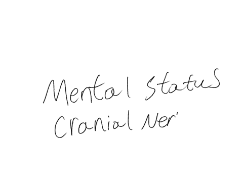areas-that-are-assessed-for-a-focused-neurological-assessment