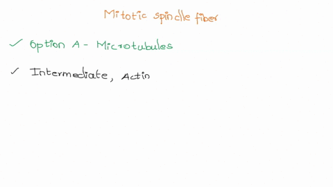 10-the-mitotic-spindle-fibers-are-composed-of-microtubules-b-microvilli-intermediate-filaments-d-actin-filaments-94-exploring-anatomy-physiology-in-the-labc-39347