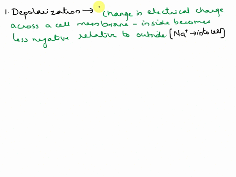 define-depolarization-repolarization-and-the-action-potential-78227