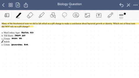 many-of-the-biochemical-tests-we-did-in-lab-relied-on-a-ph-change-to-make-a-conclusion-about-bacterial-growth-or-identity-which-one-of-these-tests-did-not-rely-on-a-ph-change-group-of-answer-93767