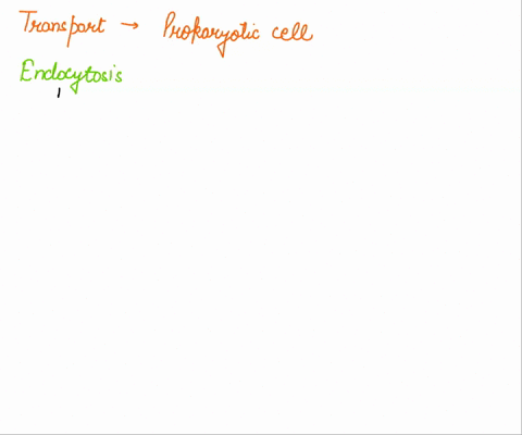which-of-the-following-methods-of-transport-does-not-occur-in-prokaryotic-cell-membranes-group-of-answer-choices-none-of-these-choices-group-translocation-active-transport-simple-diffusion-o-35978