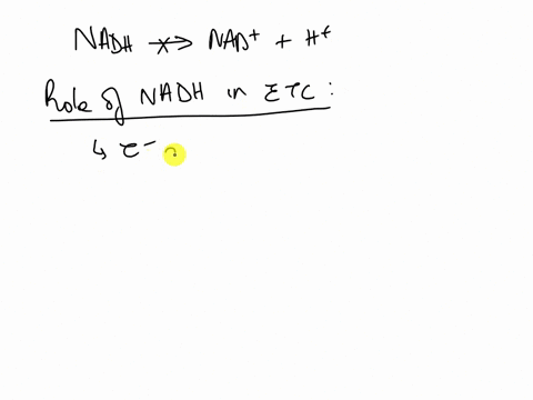 a-deadly-chemical-is-poisonous-to-the-cells-because-it-directly-impacts-the-electron-transport-chain-by-preventing-the-conversion-of-nadh-to-nad-and-h-which-of-the-following-could-be-happeni-24714