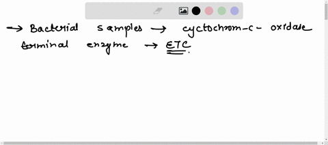 which-bacterial-samples-have-cytochrome-c-oxidase-as-the-terminal-enzyme-of-theiretc-which-samples-do-not-have-cytochrome-c-oxidase-as-the-terminal-enzyme-of-theiretc-48674