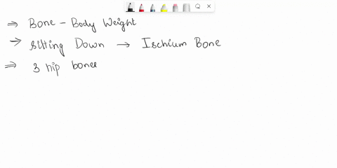 the-bone-that-supports-your-body-weight-when-you-are-sitting-down-is-a-the-acetabulum-d-the-coccyx-b-the-pubis-e-the-ischium-c-the-ilium-74093