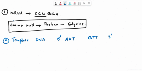 determine-the-sequence-of-amino-acids-from-an-mrna-sequence-ccugga-determine-the-sequence-of-amino-acids-from-a-dna-template-strand-aatgtt-list-the-start-codon-list-the-stop-codons-02066