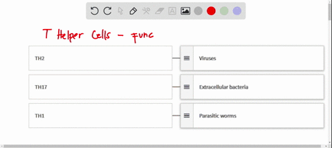 question-61-homework-umznsipmo-match-each-th-subset-with-pathogen-type-they-typically-offer-protection-against-dragand-drop-options-on-the-right-hand-side-and-submit-for-keyboard-navigation_-43403