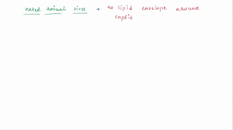 how-do-naked-animal-viruses-enter-host-cells-endocytosis-endocytosis-or-fusion-fusion-90406