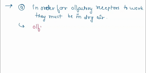 question-72-05-which-statement-about-our-senses-is-not-correct-in-order-for-olfactory-receptors-to-work-they-must-be-in-dry-air-nocireceptors-can-be-chemo-receptors-or-mechanoreceptors-adapt-98544