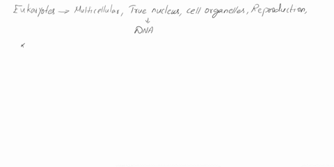 using-the-following-words-to-fill-in-the-blanks-not-all-words-will-be-usedchromosomes-centromere-chromatin-nucleus-microtubules-dna-sister-chroatids-protein1-the-dna-of-every-eukaryotic-cell-65718