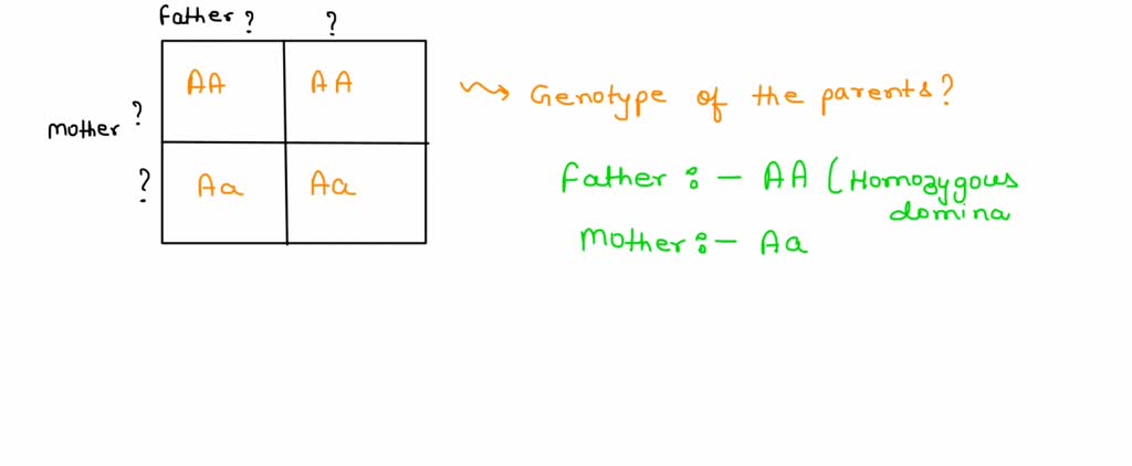 SOLVED: A punnet square shoes what genotypes are possible for the ...