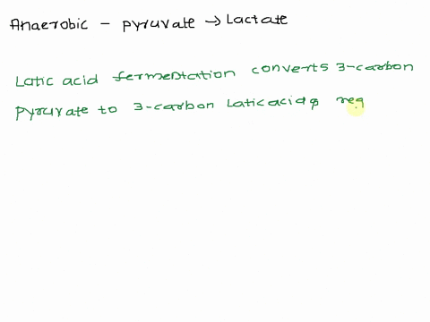 why-is-the-fermentation-or-anaerobic-reaction-of-pyruvate-to-lactate-is-necessary-draw-the-metabolic-pathway-and-identify-the-enzyme-15358