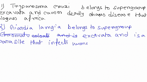 plete-each-of-the-following-sentences-to-describe-the-ways-in-which-protists-affect-human-health-kypanosoma-cruzi-belongs-to-the-supergroup-excavata-and-causes-ihe-deadly-chagas-diseaso-that-50725