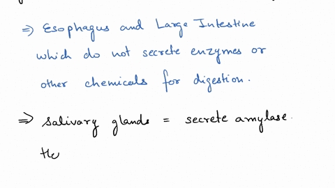 which-of-the-following-organs-produce-digestive-enzymes-or-other-chemicals-that-aid-in-digestion-check-all-that-apply-esophaguspancreasstomachliversmall-intestinelarge-intestinesalivary-glan-06585