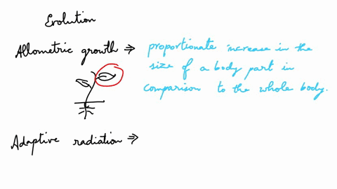 queston-3-1-point-lantan-evolution-is-frequently-accused-of-having-too-few-examples-of-intermediate-forms-in-the-fossil-record-which-evolutionary-model-widely-accepted-among-scientists-today-63311