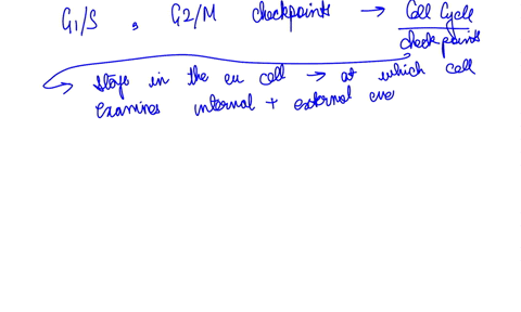 explain-how-the-cell-cycle-checkpoints-in-g1s-g2m-and-metaphase-transitions-are-triggered-and-why-these-control-points-are-particularly-important-to-the-cell-cycle-38173