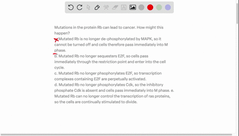 mutations-in-the-protein-rb-can-lead-to-cancer-how-might-this-happen-a-mutated-rb-is-no-longer-de-phosphorylated-by-mapk-so-it-cannot-be-turned-off-and-cells-therefore-pass-immediately-into-43957