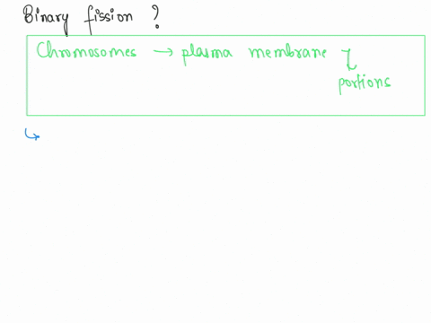 in-the-process-of-binary-fission-___________________-the-chromosome-divides-while-in-the-nucleoid-and-then-is-attached-to-the-cell-membrane-before-cell-division-chromosome-replication-begins-50067