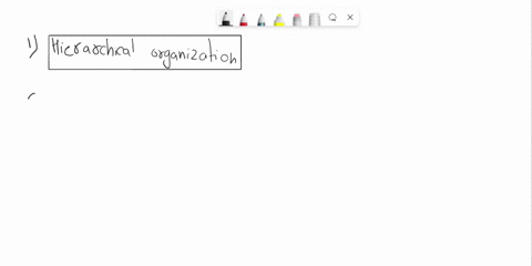 according-to-the-five-principles-of-functional-organization-apply-to-all-mammalian-and-most-vertebrate-brains-vertebrate-brain-evolution-has-involved-repeated-expansion-of-forebrain-areas-ex-72016