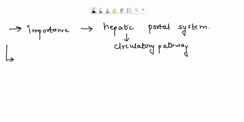 what-is-the-importance-of-the-hepatic-portal-system-98566