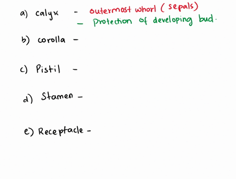 describe-the-following-parts-of-a-flower-and-their-functionsa-calyx-bcorolla-c-pistil-d-stamen-e-receptacle-40784