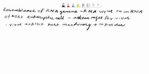 the-rna-genomes-of-some-rna-viruses-resemble-the-messenger-rnamrna-of-their-eukaryotic-hosts-what-advantage-would-an-rna-virusgain-by-having-this-type-of-genome-61575
