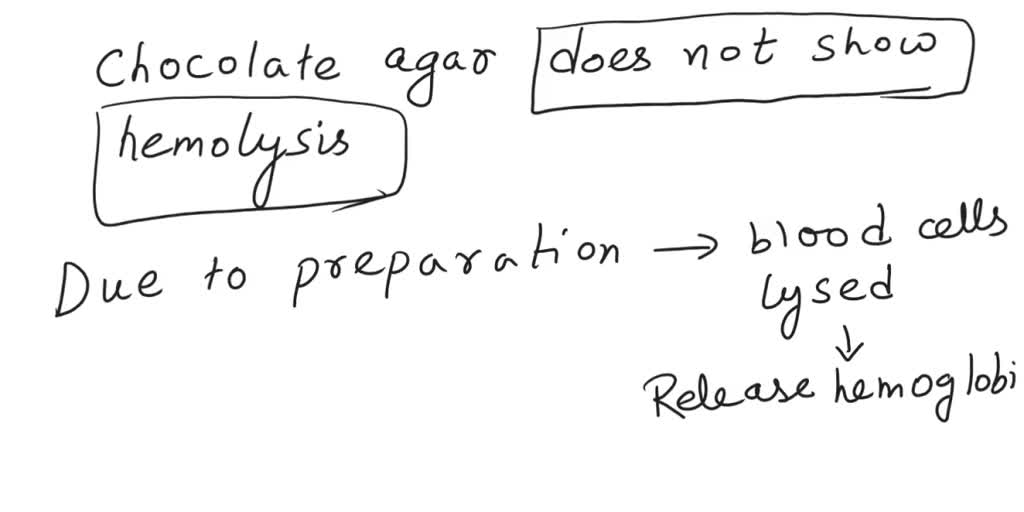 SOLVED Does chocolate agar shows any hemolysis? If yes, can you