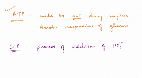 56-how-many-atp-net-are-made-by-substrate-level-phosphorylation-slp-during-the-complete-aerobic-respiration-of-glucose-a-2-b-4-c-32-d-34-e-38-88033