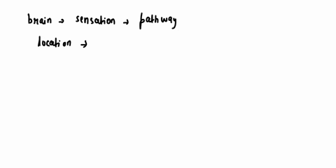 16-what-typesof-information-isaretransmitted-to-the-brain-from-receptorsselect-all-thatapply-333points-the-type-of-sensationbased-on-the-pathway-the-locationbased-on-receptive-fields-the-int-43702