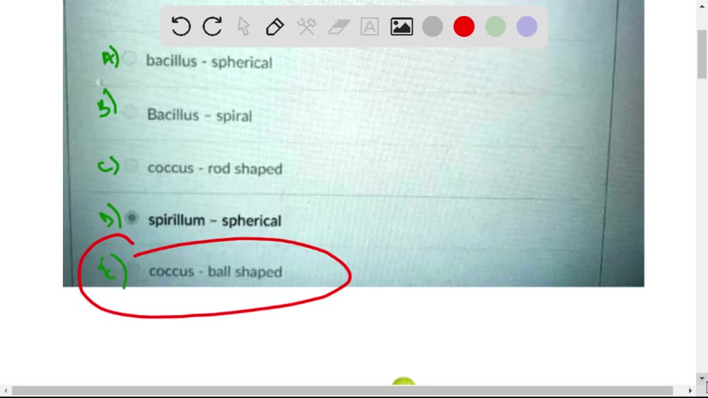 SOLVED: In regard to bacterial cell shapes, which of the following
