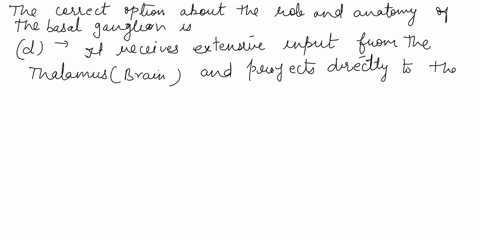 which-of-the-following-best-reflects-the-role-of-basal-ganglia-in-executive-control-of-behavior-or-is-correct-about-its-anatomy-a-it-is-important-for-forming-behaviorally-relevant-associatio-42903