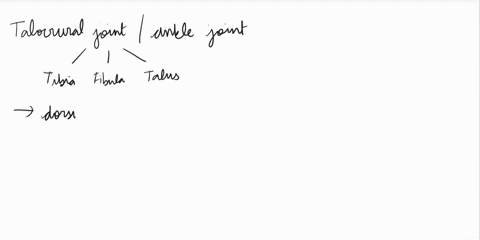 which-of-the-following-is-true-of-the-talocrural-joint-ainversion-and-eversion-occur-here-blies-below-the-subtalarjoint-dall-answers-are-true-eno-answers-are-true-35524