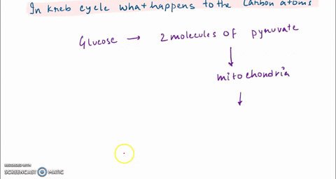 18-in-krebs-cycle-what-happens-to-the-carbon-atoms-that-are-removed-from-organic-compounds-a-the-carbon-atoms-form-nadh-and-fadh2-b-the-carbon-atoms-are-bonded-to-oxaloacetate-c-the-carbon-a-44173