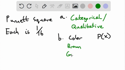 this-chart-shows-the-possible-outcomes-for-eye-color-for-child-bg-bb-bg-bb-ibb-ibb-gbibb-bblbb-gblbb-bb-pb-bb-gbibb-bblbb-gbbbb-bb-pb-bb-gbibb-bblbb-gbbbb-bb-pbb-bbb-gbibb-bblbb-gb-ibb-bb-wh-44227