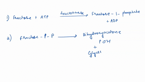 bypass-in-the-liver-fructose-can-be-converted-into-glyceraldehyde-3-phosphate-and-dihydroxyacetone-p-00415