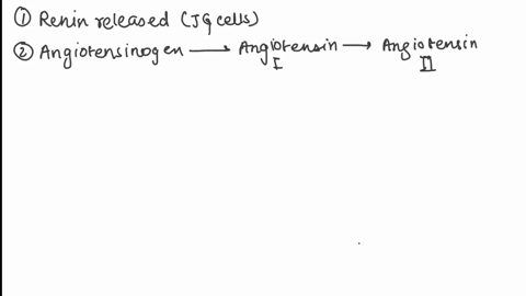 chreler-hoet-otk-tough-topics-the-role-of-thc-kidneys-btood-pressure-homeostasis-pant-renin-anqialensin-hechanesm-402-when-the-juxtd-omenn-kin-the-tonet-doducl-eonmt-rankc-eente-lnt-occuiten-31814