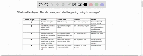 stages-what-are-the-stages-of-female-puberty-and-what-happening-during-those-85439
