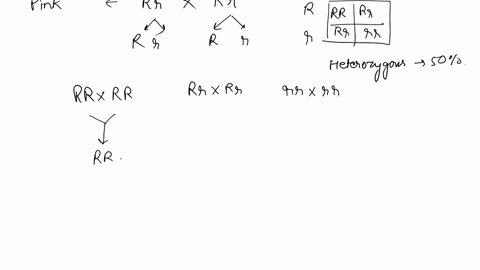 question-16-true-breeding-red-wered-plsnt-pvland-truc-brceding-white-ilomered-piant-pz-are-ctossed-see-an-fi-generallon-kuth-intermedlate-f15-ond-resulanz-populations-ara-selfed-or-color-ipl-54024