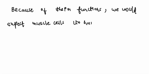 because-of-their-functions-we-would-expect-muscle-cells-to-have-a-larger-number-of-which-cellular-organelle-00622